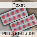 Poxet 19